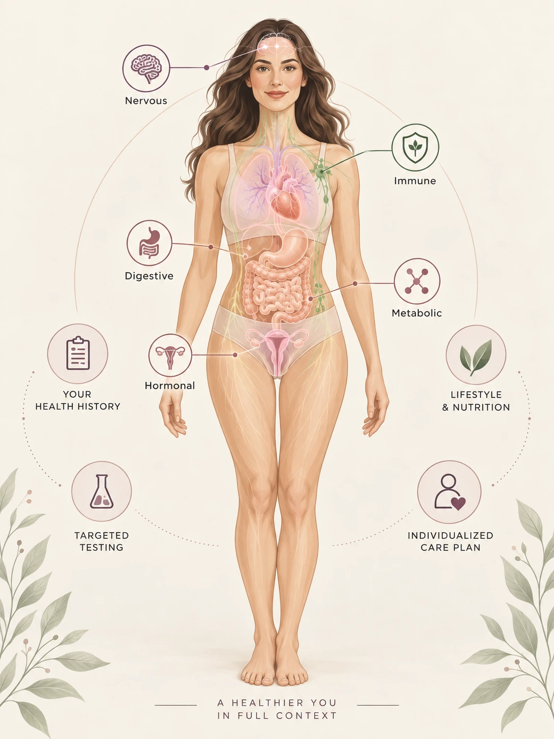 Illustration of the nervous, immune, digestive, metabolic and hormonal systems evaluated in a functional medicine approach